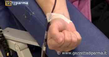Donazioni di sangue, l'Avis provinciale: "Bilancio positivo" - Gazzetta di Parma