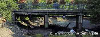 Der Lotse gibt das Ruder weiter - Kenzingen - badische-zeitung.de