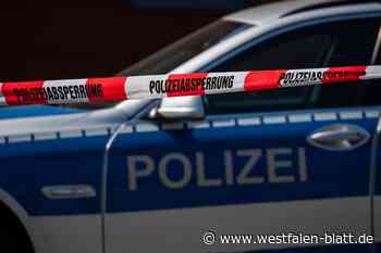 Einbruch in Realschule Steinheim - Westfalen-Blatt