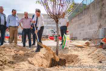 La ville de Nice va végétaliser la cour de l'école Les Oliviers - Nice matin