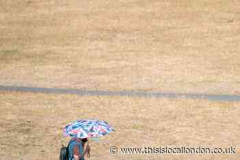 When it will next rain in south London according to Met Office