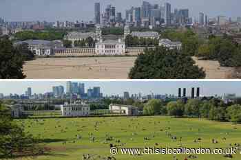 Pictures of scorched Greenwich park after driest July since 1935