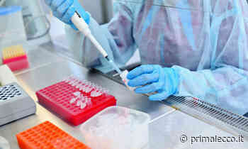 Vaiolo delle scimmie: domani le prenotazioni, 2000 dosi in Lombardia - Prima Lecco