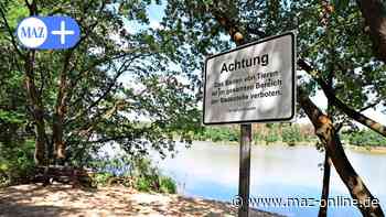 Rathenow: Wo Hunde baden dürfen – und wo nicht - Märkische Allgemeine Zeitung