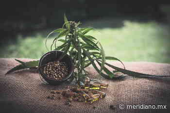 Llega Paradise a Tepic - Meridiano.mx