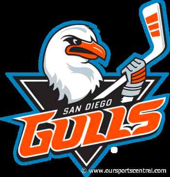 San Diego Gulls Sign Logan Nijhoff to Two-Year Contract - OurSports Central