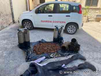Trani - Nascondono 11kg di datteri in 2 bombole d'ossigeno: 2 soggetti denunciati a piede libero - BAT Magazine