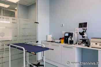 A Trani nasce il primo pronto soccorso per animali - TraniViva