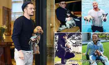 Men are seen as less intimidating and threatening when holding small dog than when alone