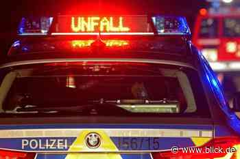 Marder verursacht auf der Autobahn 11.000 Euro Sachschaden | blick.de - Dresden - Blick.de