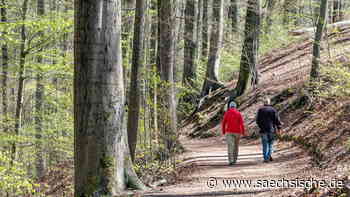 Waldbrandgefahr: Welche Regeln jetzt in Dresden gelten - Sächsische.de