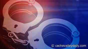 Logan woman arrested for alleged string of retail thefts - Cache Valley Daily