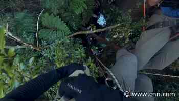 This 'bug detective' is on the hunt for rare and new insect species