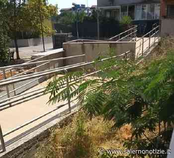 Salerno, erba alta e degrado: la denuncia dei residenti di Via Alfonso Menna - Salernonotizie.it