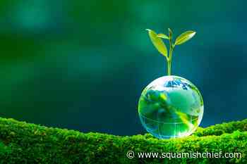 How is Squamish tackling the climate crisis? - Squamish Chief