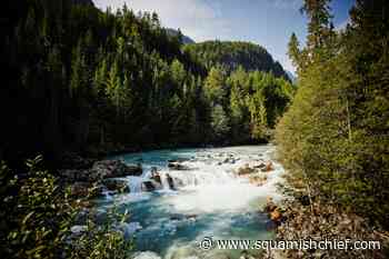 How busy were first responders on BC Day weekend? - Squamish Chief