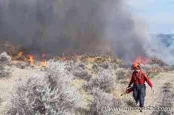 B.C. wildfires: 55 blazes burning, 8 of particular concern - Nelson Star