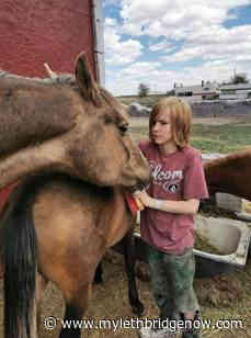 Lethbridge Police ask for help finding missing teen - My Lethbridge Now