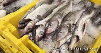 Record prices for cod and haddock on Grimsby Fish Market - Business Live