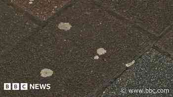 Grimsby: Chewing gum clean-up after town wins government cash - BBC