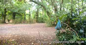 Bags of dog poo left hanging from branches in Grimsby woodland after bin move - Grimsby Live