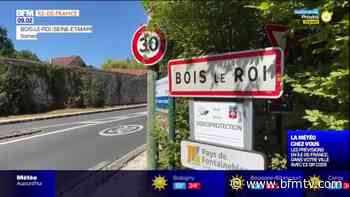 Seine-et-Marne: à Bois-le-Roi, plusieurs axes à 30 km/h - BFMTV