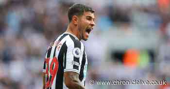 Stats highlight Bruno Guimaraes' quality in stellar Newcastle United Premier League season opener - Chronicle Live