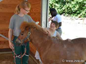 Pferdegestützte Pädagogik der Diakonie: Wie Schüler den Umgang mit Tieren lernen - Zeitungsverlag Waiblingen