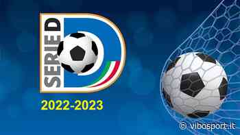 SERIE D La Lnd dice sì al Catania, ma boccia il Giarre, parere positivo per il Cittanova - Vibo Sport e tempo libero