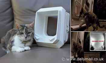 Smart cat flap temporarily locks your kitty out if it detects it's holding prey