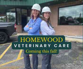 Markham Animal Clinic Breaks Ground On New Homewood Location - Patch