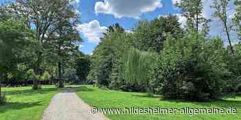 Das wird heute in Hildesheim wichtig: Ehrlicher-Park, verkaufte Immobilien, Revival-Party - www.hildesheimer-allgemeine.de