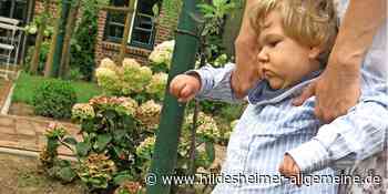 Hilfe für kranke Kinder: Wie ein Lauf im Kreis Hildesheim Tabus brechen soll - www.hildesheimer-allgemeine.de