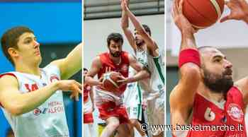 Il Basket Macerata ufficializza un importante tris di conferme - Serie D Regionale - Basketmarche.it