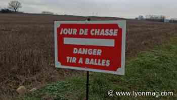 Près de Lyon : 56 chasseurs ont organisé une battue aux renards - Lyon Mag
