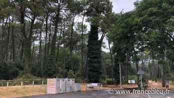 Canicule : les forêts du Pignada et du Lazaret d'Anglet fermées pour au moins 3 jours - France Bleu
