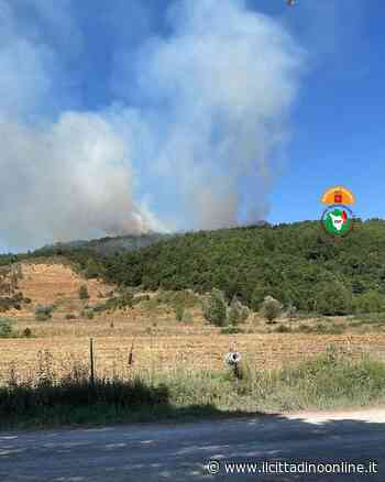Incendio boschivo in corso a Sinalunga - Il Cittadino on line