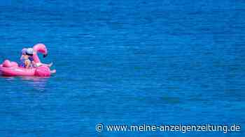 Große Schwimmtiere sind nichts für offene Gewässer