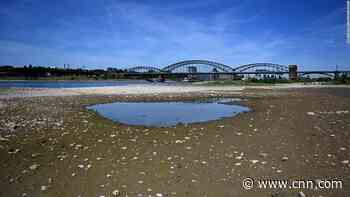 More than 60% of land in the European Union and UK is now experiencing drought conditions