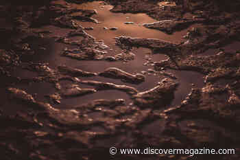 Scientists Find An Ancient Source of Oxygen Supporting Life