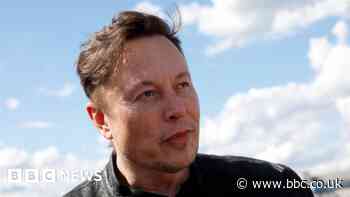 Elon Musk sells $6.9bn of Tesla shares as Twitter lawsuit looms