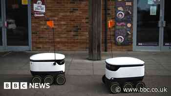 Are we falling in love with robots?