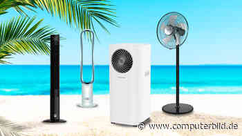 Abkühlung für heiße Tage: Klimageräte & Ventilatoren im Angebot