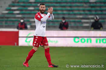 Bari, testa al Parma: in allenamento a segno Antenucci, Cheddira e D'Errico - La Bari Calcio