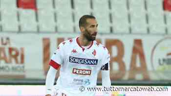 Bari, Di Cesare: "Dopo 3 anni siamo dove meritiamo. B non semplice con tante grandi piazze" - TUTTO mercato WEB