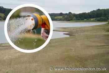 South East London hosepipe ban 2022: Is there a ban in my area?