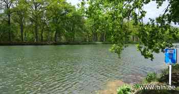 Nu ook gevaarlijke blauwalgen vastgesteld in kanaal Bocholt-Herentals - Het Laatste Nieuws