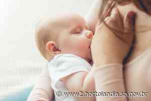 Prefeitura de Hortolandia - Amamentação fortalece os vínculos entre a mãe e o bebê - Prefeitura de Hortolandia (.gov)