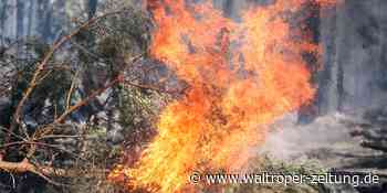 Das müssen Sie heute wissen: Waldbrandgefahr durch parkende Autos - Waltroper Zeitung
