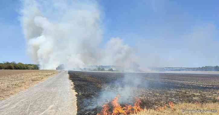 Rauchwolke über Stutensee: 110 Feuerwehrleute bei Flächenbrand im Einsatz - Feuer gelöscht | ka-news - ka-news.de